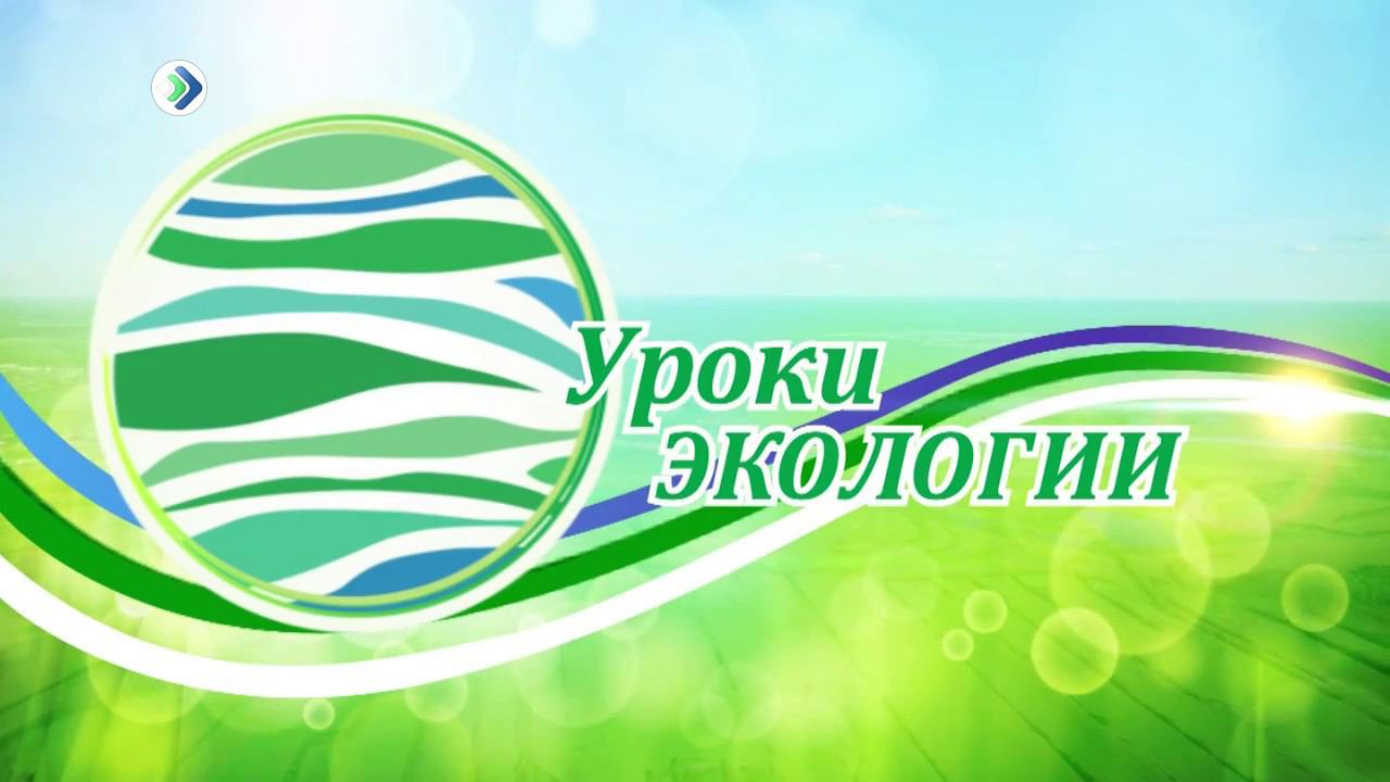 Урок экологии на тему «Зеленая планета»..