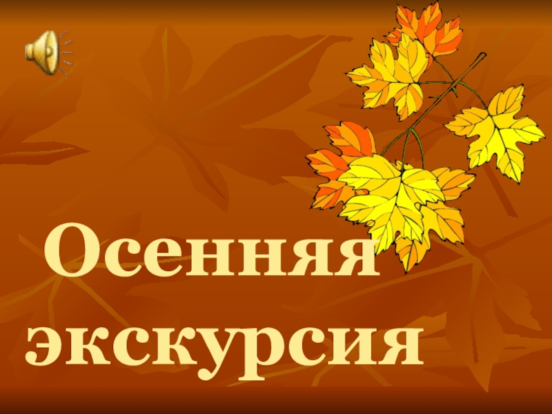 Осенняя экскурсия..