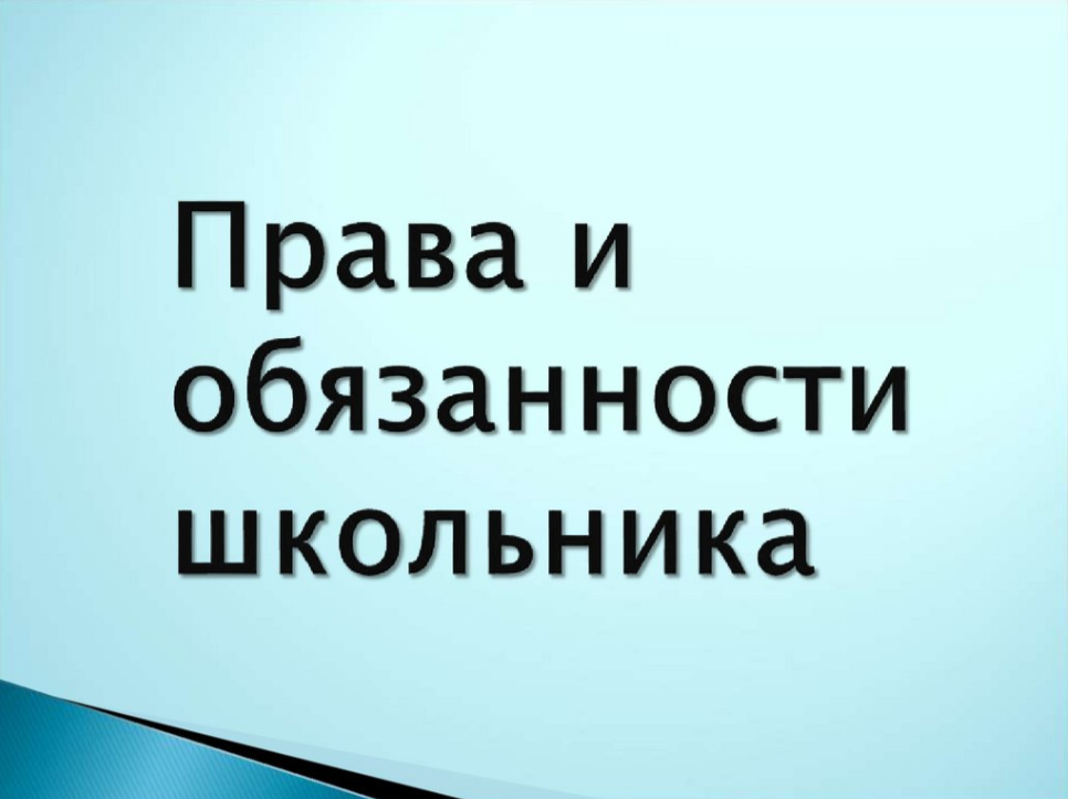 Правила обучения. Права и обязанности учащегося.